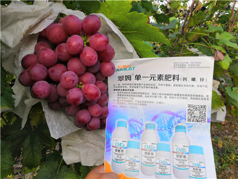水溶肥，鈣肥，硼肥
