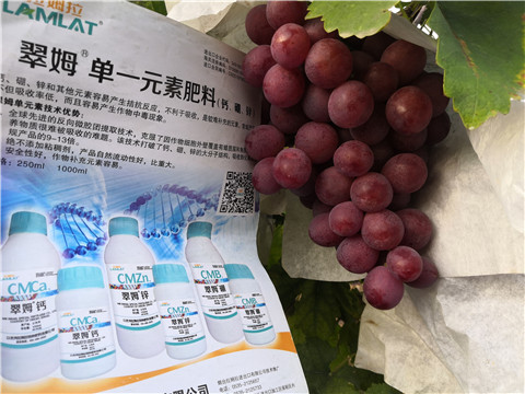 水溶肥，鈣肥，硼肥