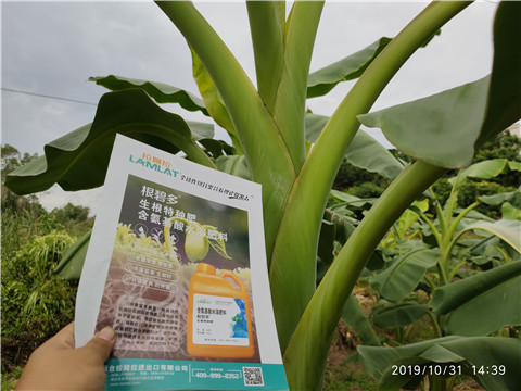 葉面肥，微生物菌劑，硼肥，水溶肥