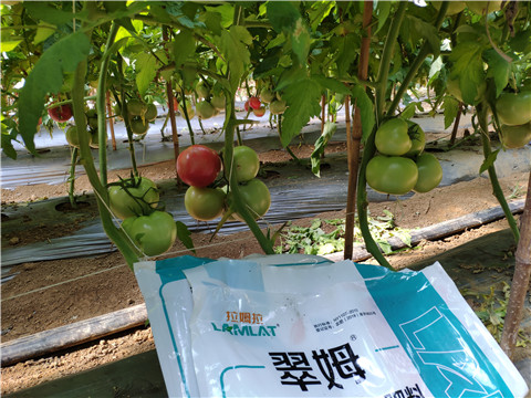 水溶肥，