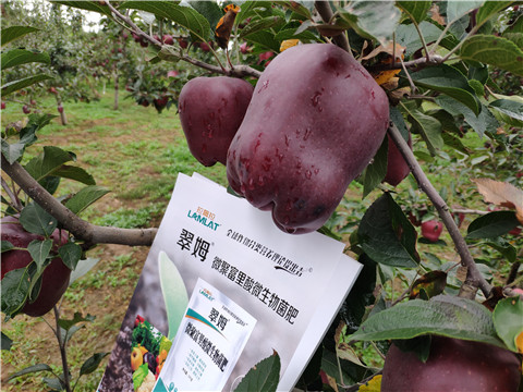微生物菌劑，