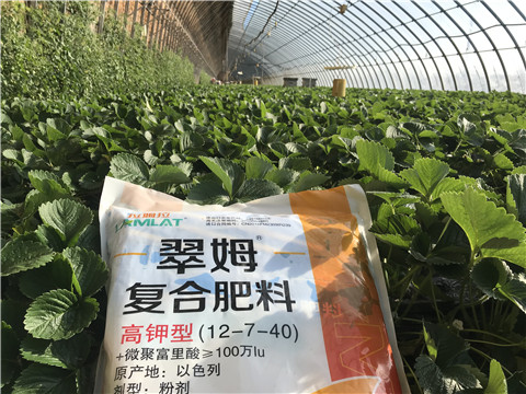 水溶，拉姆拉，翠姆