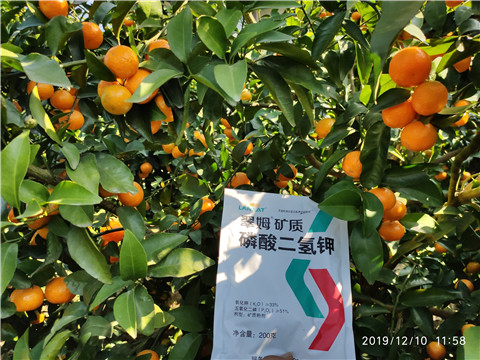 水溶肥，磷酸二氫鉀
