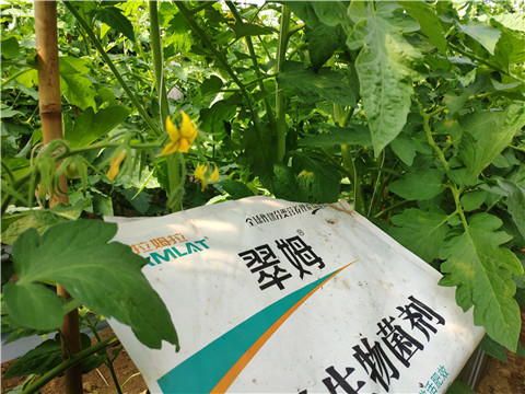 微生物菌劑，