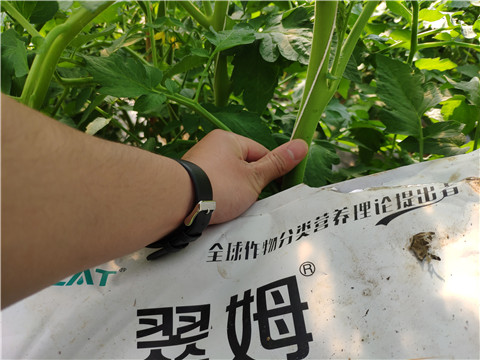 微生物菌劑，