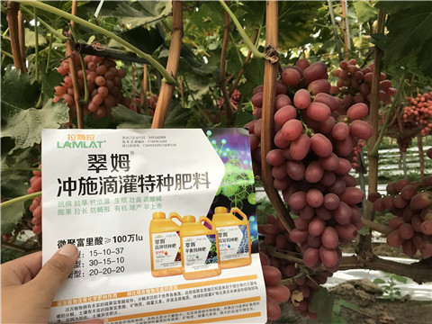 沖施肥，拉姆拉