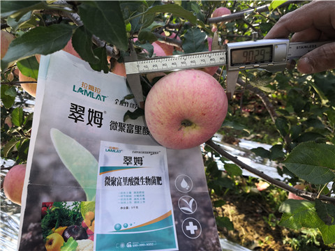 水溶肥，磷酸二氫鉀，微生物菌劑