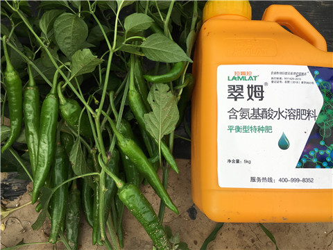 根碧多，微生物菌，葉面肥