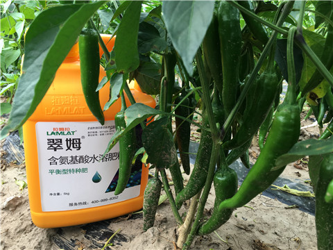 根碧多，微生物菌，葉面肥