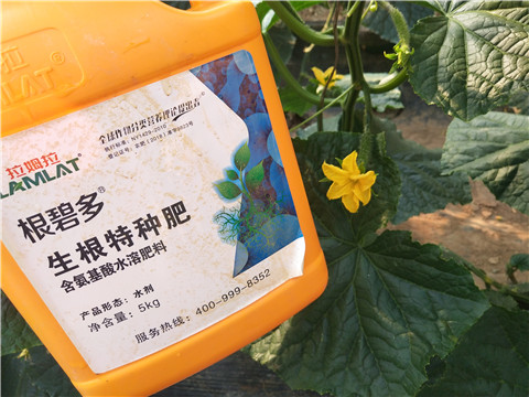拉姆拉，根碧多，微生物菌劑