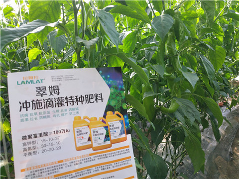 水溶肥，硼肥