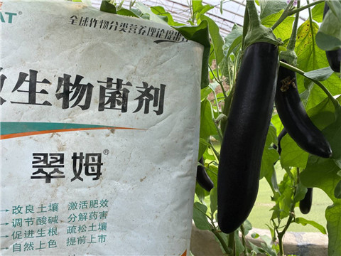 微生物菌劑，拉姆拉