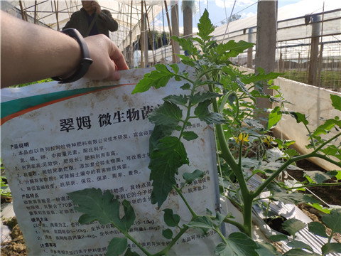 微生物菌劑 ，拉姆拉翠姆