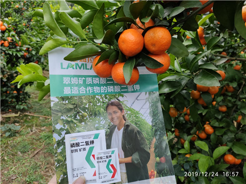 磷酸二氫鉀，鈣肥，硼肥
