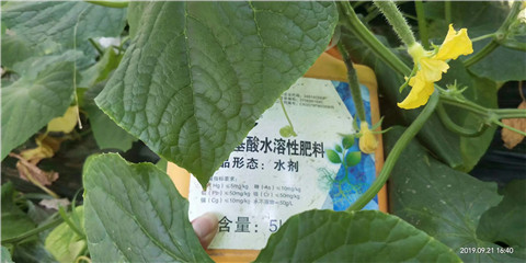 水溶肥，翠姆