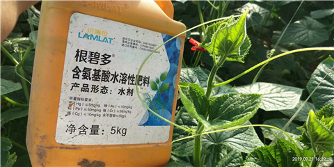 水溶肥，翠姆