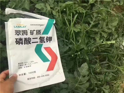 磷酸二氫鉀，硼肥，沖施肥