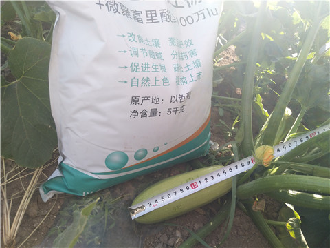 微生物菌劑，磷酸二氫鉀