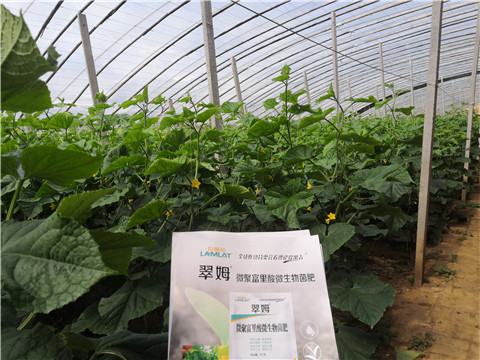 微生物菌劑，拉姆拉