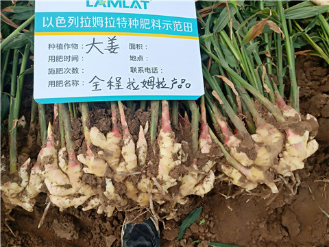 水溶肥，微生物菌劑，拉姆拉