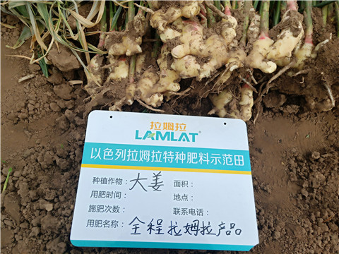 水溶肥，微生物菌劑，拉姆拉