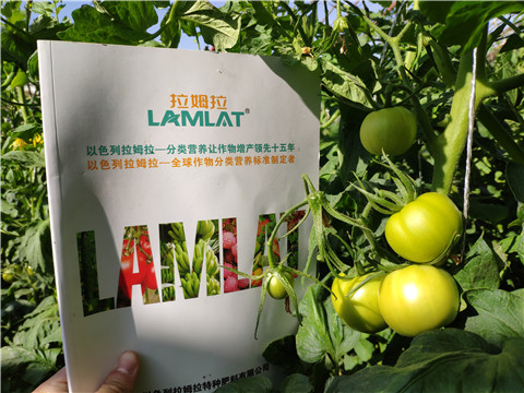 微生物菌劑，拉姆拉，伯示麥