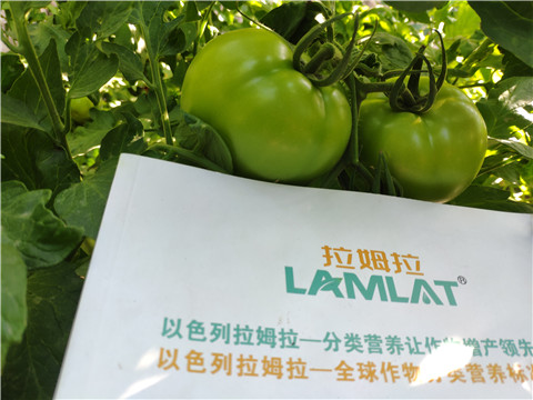 微生物菌劑，拉姆拉，伯示麥