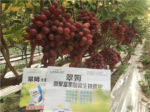 微生物菌劑，硼肥，鈣肥