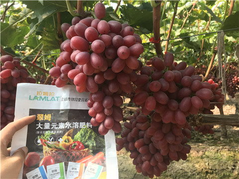 水溶肥，拉姆拉