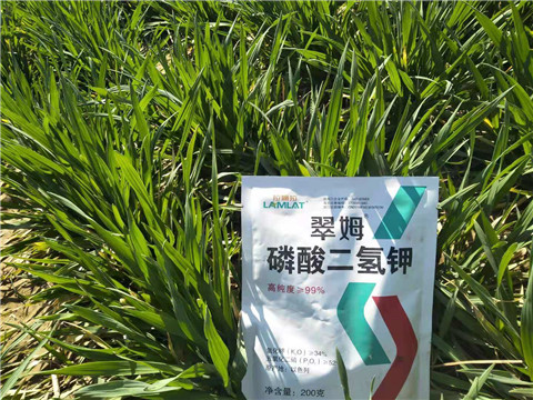 磷酸二氫鉀，葉面肥，拉姆拉
