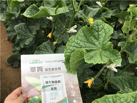 微生物菌劑，水溶肥，拉姆拉