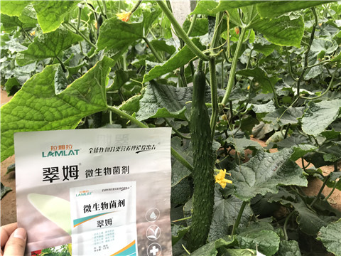 微生物菌劑，水溶肥，拉姆拉