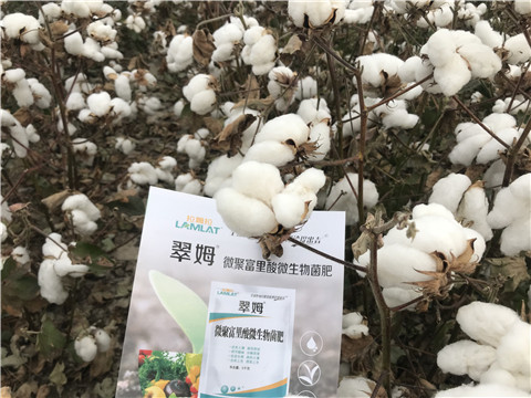 微生物菌劑，根碧多，拉姆拉