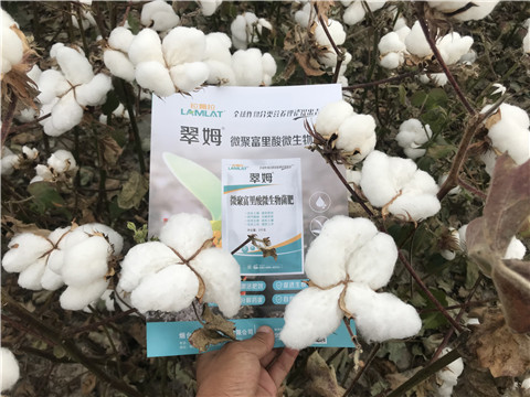 微生物菌劑，根碧多，拉姆拉