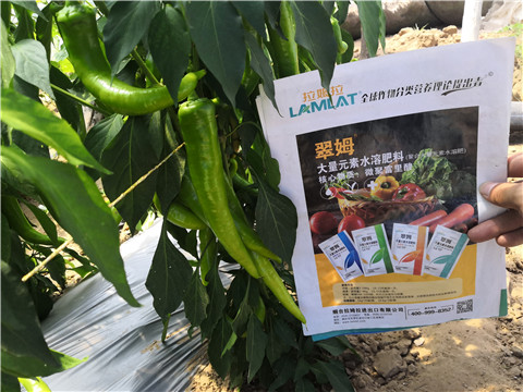 水溶肥，拉姆拉