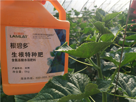 根碧多，磷酸二氫鉀，拉姆拉