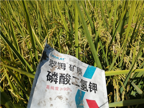 磷酸二氫鉀，翠姆，拉姆拉