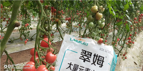 水溶肥，翠姆，拉姆拉