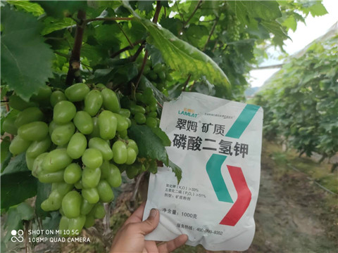 磷酸二氫鉀，拉姆拉