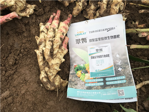 微生物菌劑，翠姆，拉姆拉