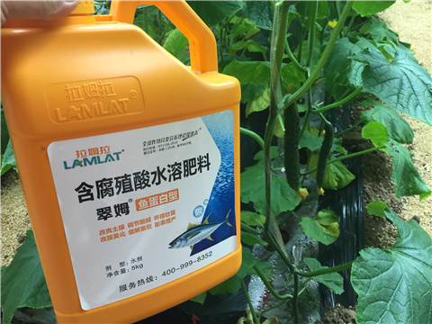 生根劑，魚蛋白水溶肥，拉姆拉