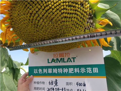 水溶肥，微生物菌劑，拉姆拉