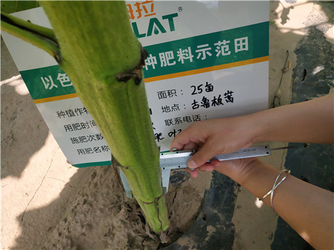 水溶肥，微生物菌劑，拉姆拉