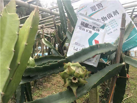 磷酸二氫鉀，翠姆，拉姆拉