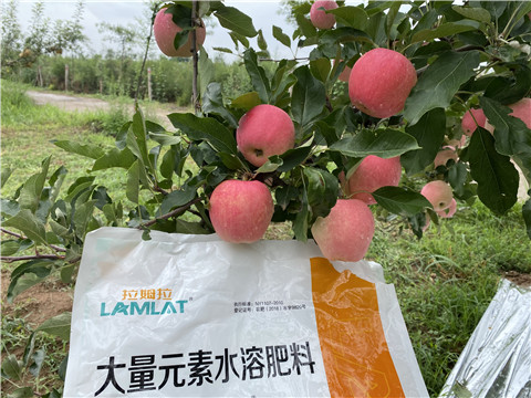水溶肥，翠姆，拉姆拉