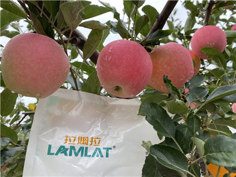 水溶肥，翠姆，拉姆拉