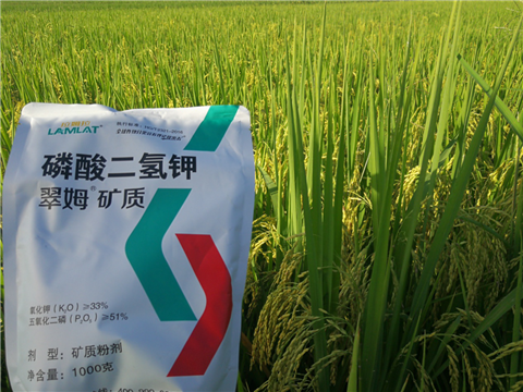 葉面肥，水稻灌漿肥，拉姆拉