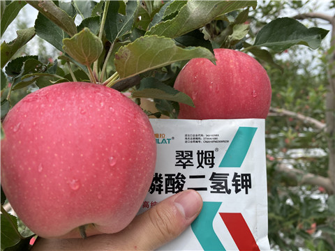 高鉀水溶肥，磷酸二氫鉀，拉姆拉，翠姆