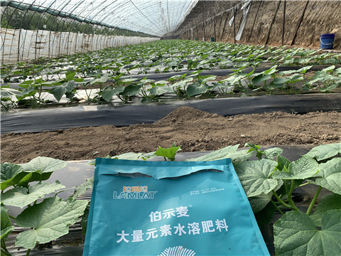 水溶肥，拉姆拉