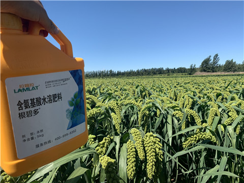 磷酸二氫鉀，拉姆拉，翠姆